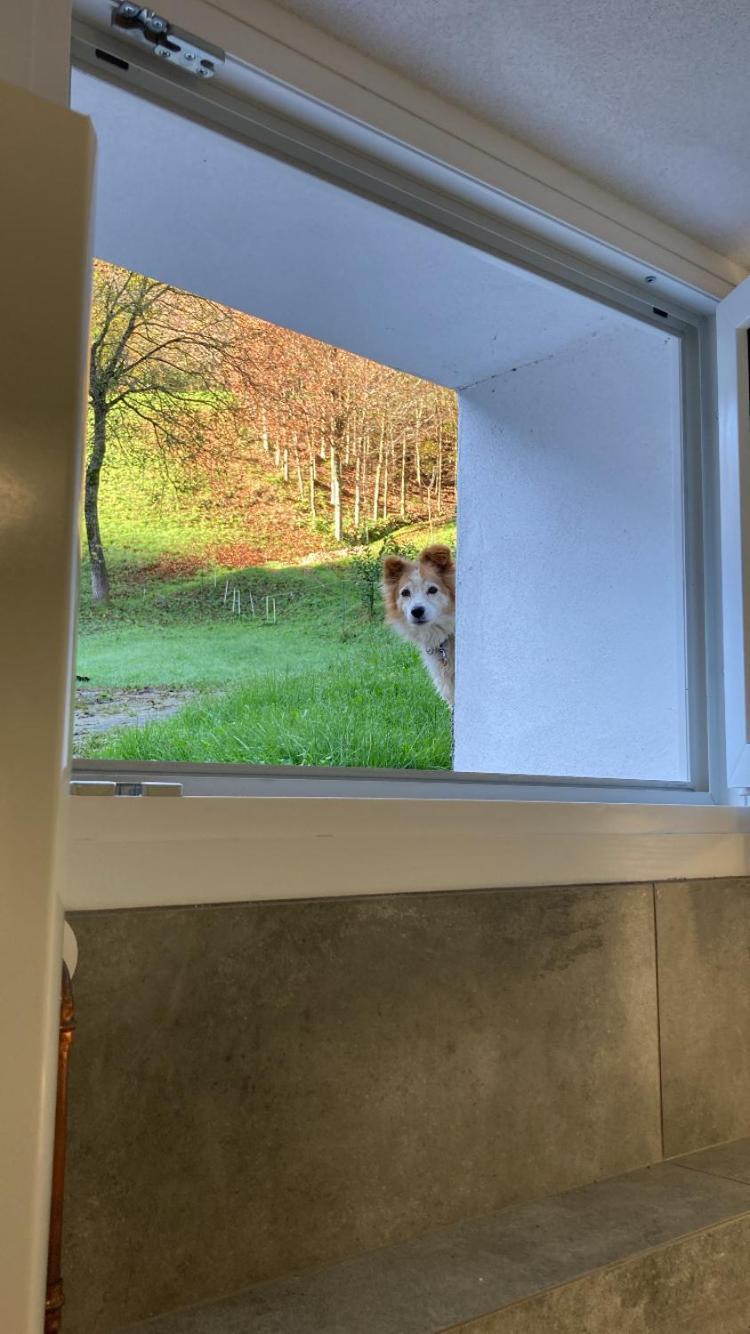 Cascina Uertigher Gorno Eksteriør billede