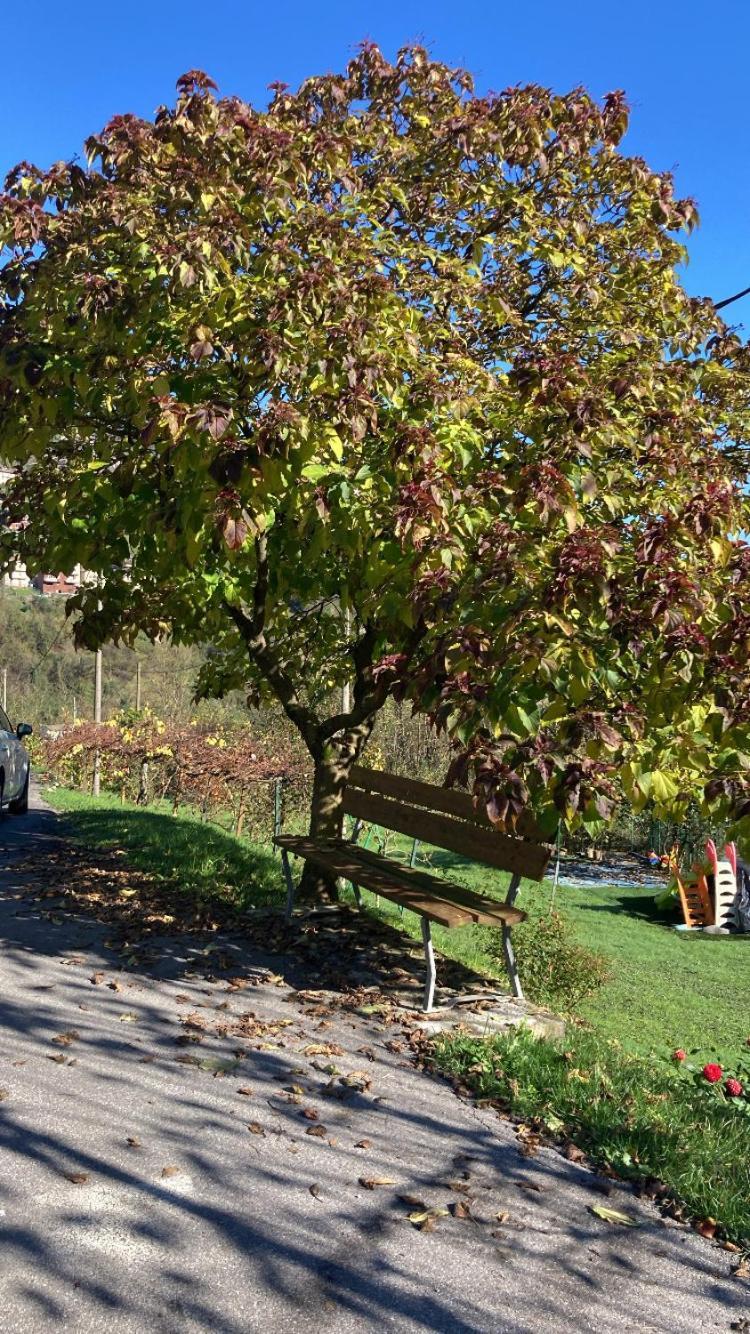 Cascina Uertigher Gorno Eksteriør billede